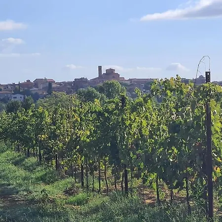 Montepulciano - La Casetta Del Pian Delle Noci Acquaviva  Exterior photo