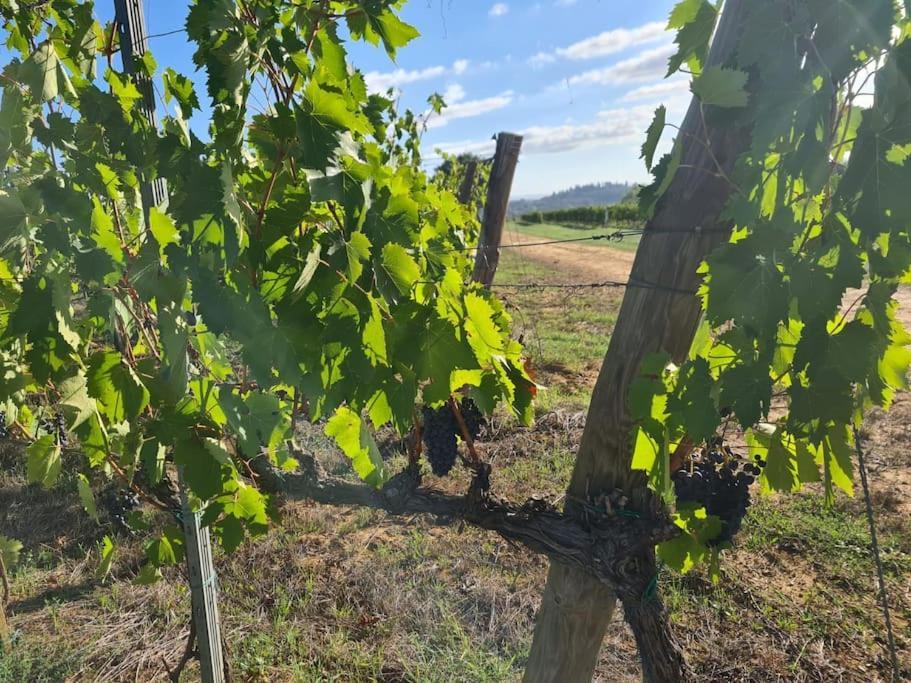 Montepulciano - La Casetta Del Pian Delle Noci