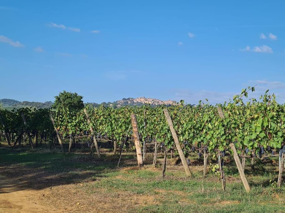 Holiday home Montepulciano - La Casetta Del Pian Delle Noci Acquaviva (Montepulciano)