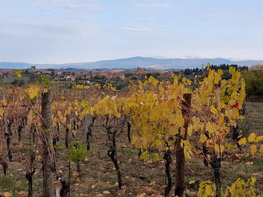 Montepulciano - La Casetta Del Pian Delle Noci Acquaviva (Montepulciano)