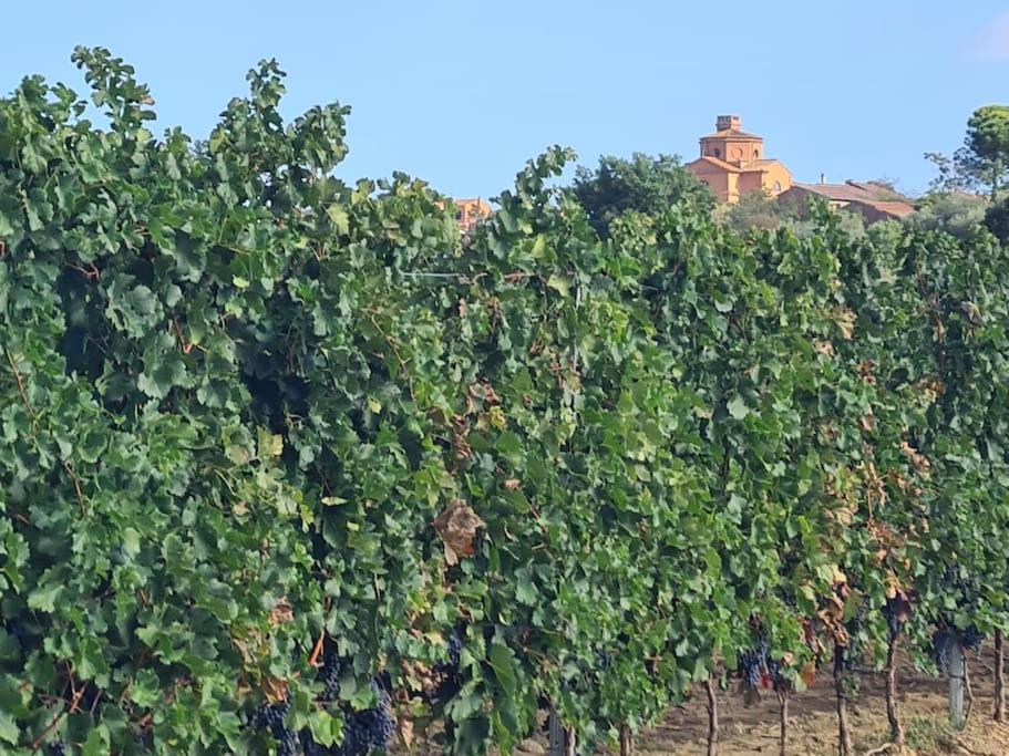 Montepulciano - La Casetta Del Pian Delle Noci *