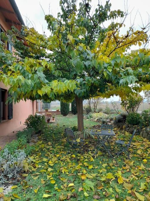 Holiday home Montepulciano - La Casetta Del Pian Delle Noci