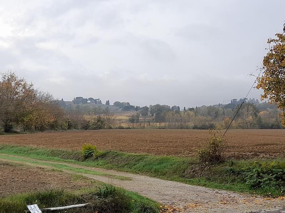 Holiday home Montepulciano - La Casetta Del Pian Delle Noci
