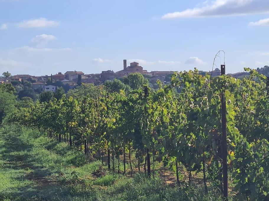 Montepulciano - La Casetta Del Pian Delle Noci Acquaviva (Montepulciano)