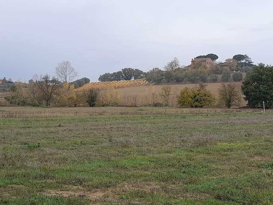 Holiday home Montepulciano - La Casetta Del Pian Delle Noci Acquaviva (Montepulciano)