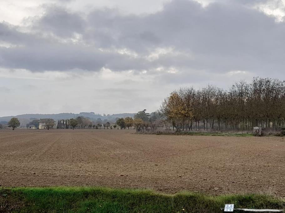 Montepulciano - La Casetta Del Pian Delle Noci Acquaviva (Montepulciano)