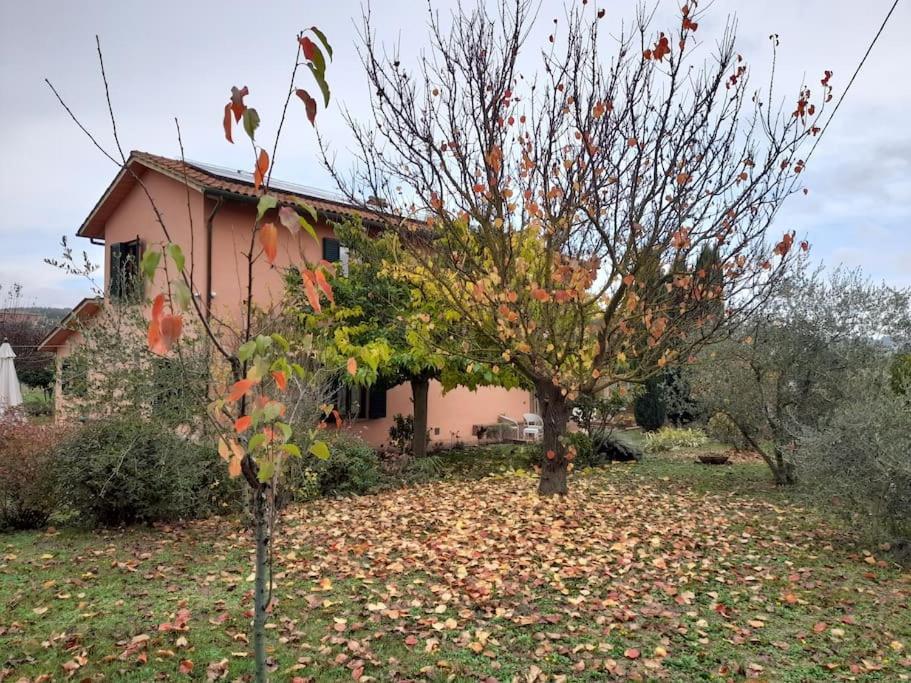 Montepulciano - La Casetta Del Pian Delle Noci