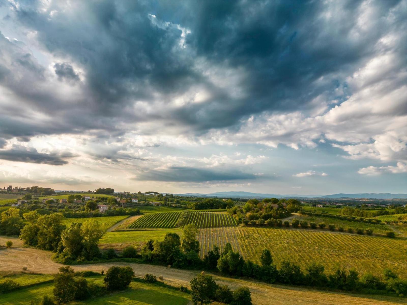 Montepulciano - La Casetta Del Pian Delle Noci *