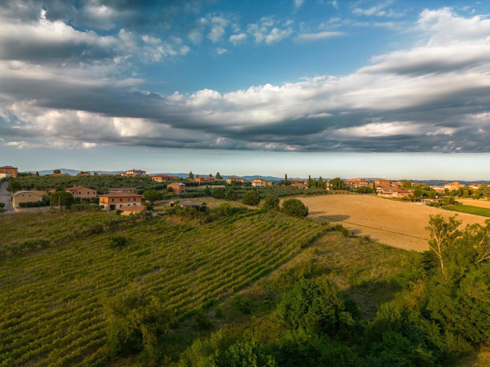 Holiday home Montepulciano - La Casetta Del Pian Delle Noci Acquaviva (Montepulciano)