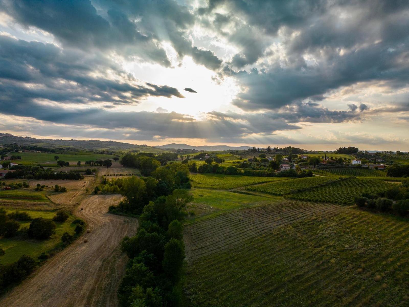 Montepulciano - La Casetta Del Pian Delle Noci Holiday home Acquaviva (Montepulciano)