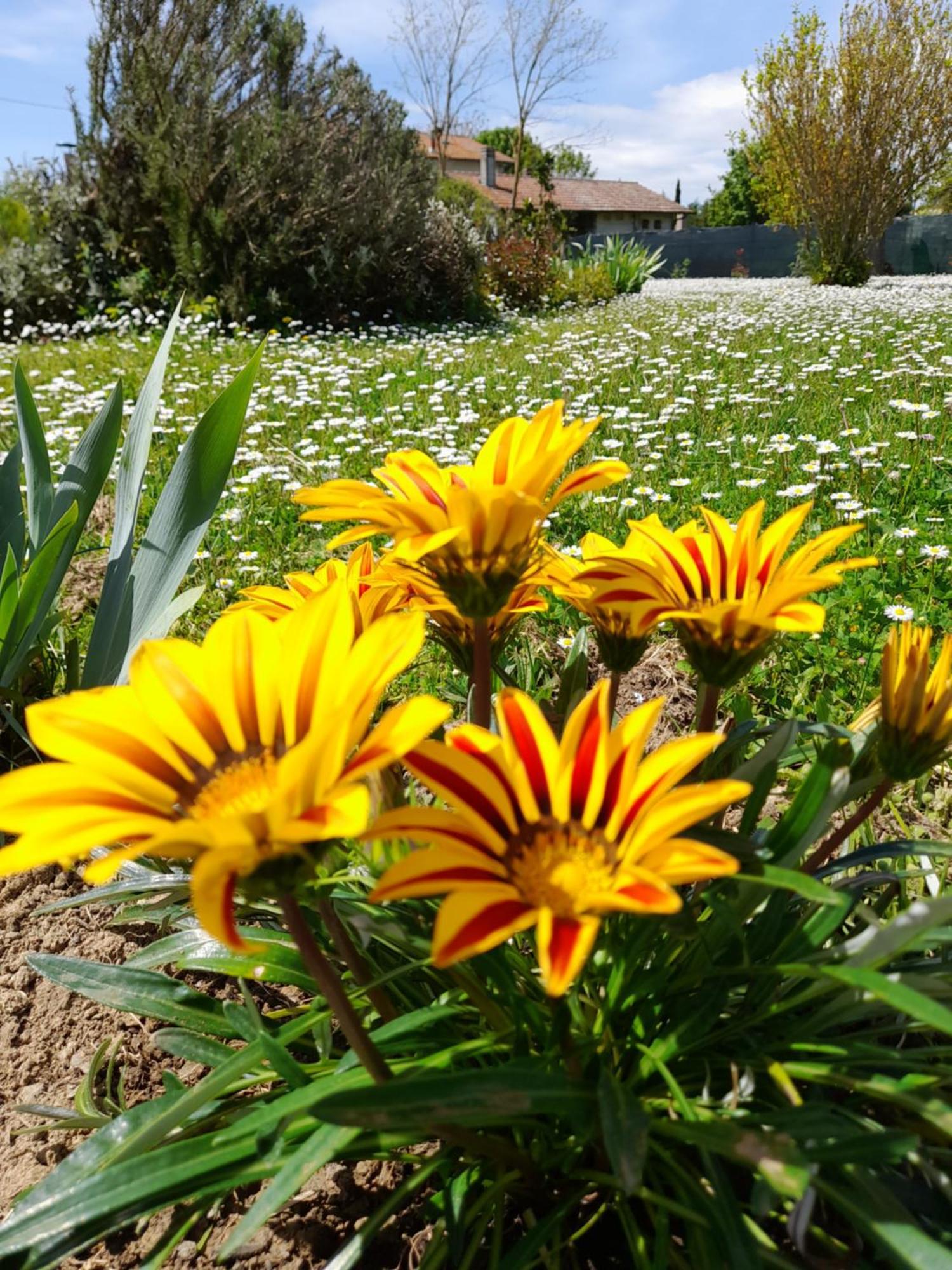 Montepulciano - La Casetta Del Pian Delle Noci