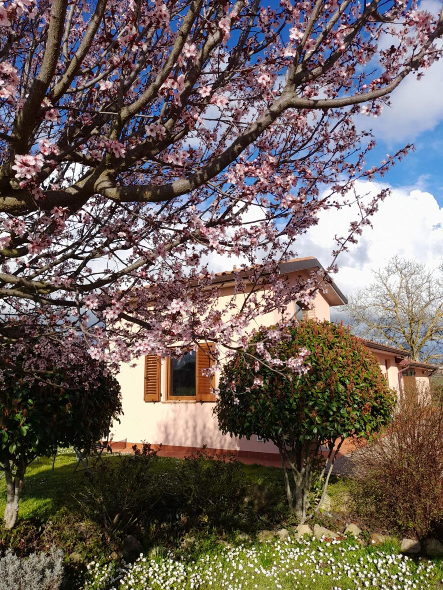 Ferienhaus Montepulciano - La Casetta Del Pian Delle Noci *