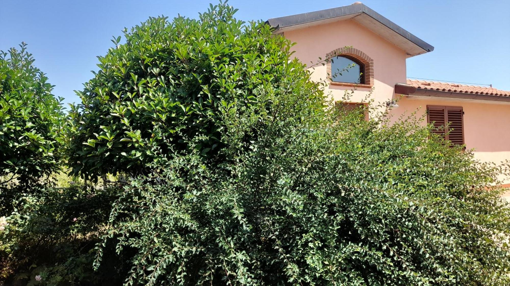 Montepulciano - La Casetta Del Pian Delle Noci